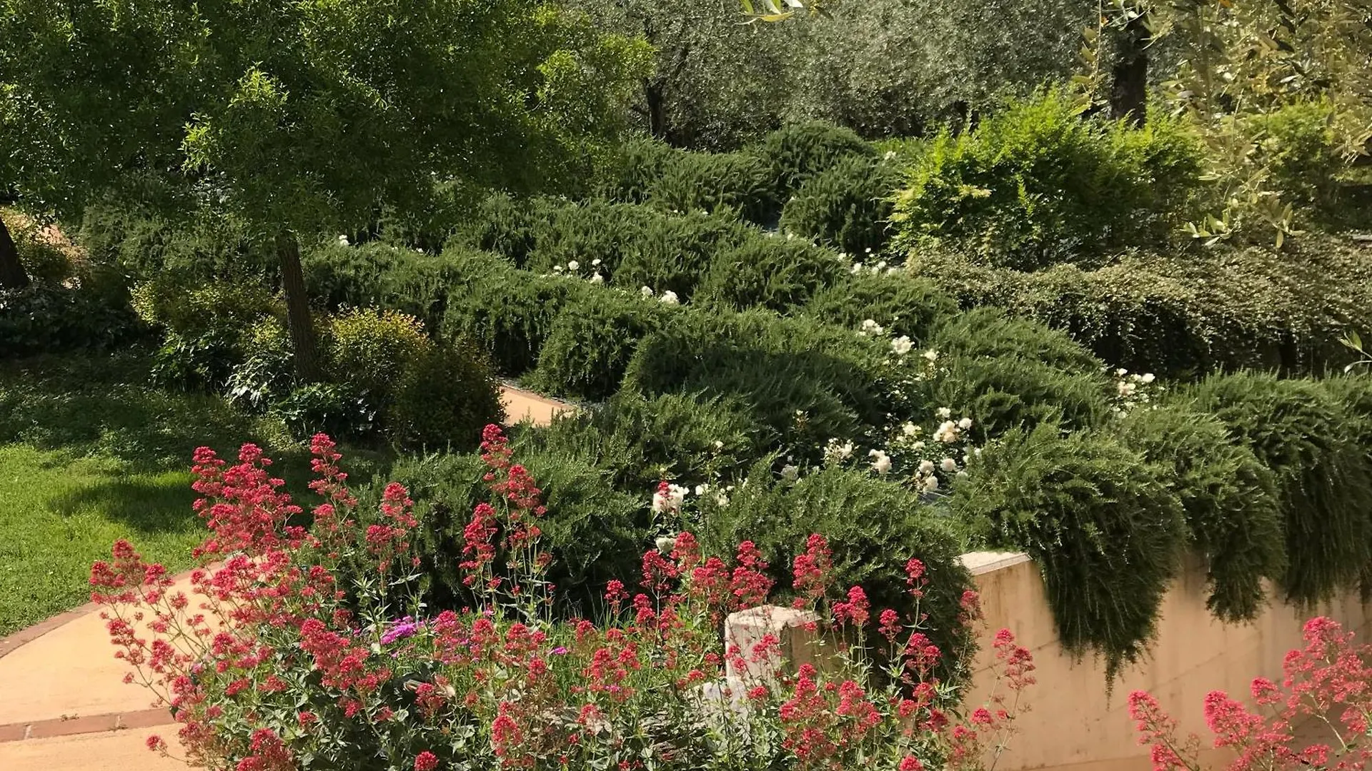 Agriturismo Il Cardo Soiano Del Lago Séjour à la ferme